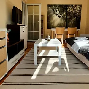Between Parks - King Bed - - Football Field Apartment Bucharest